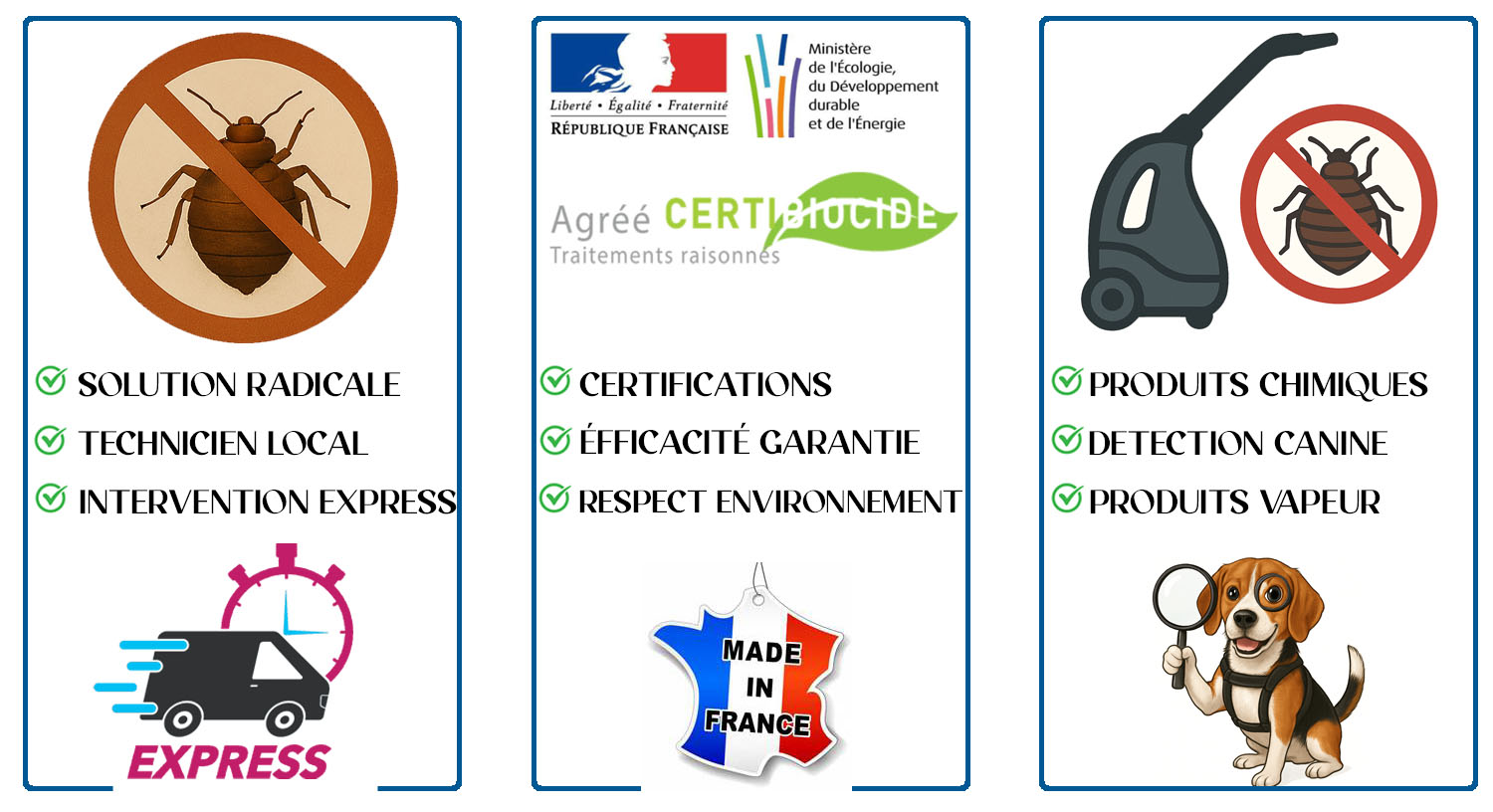 Punaises de Lit Chatillon