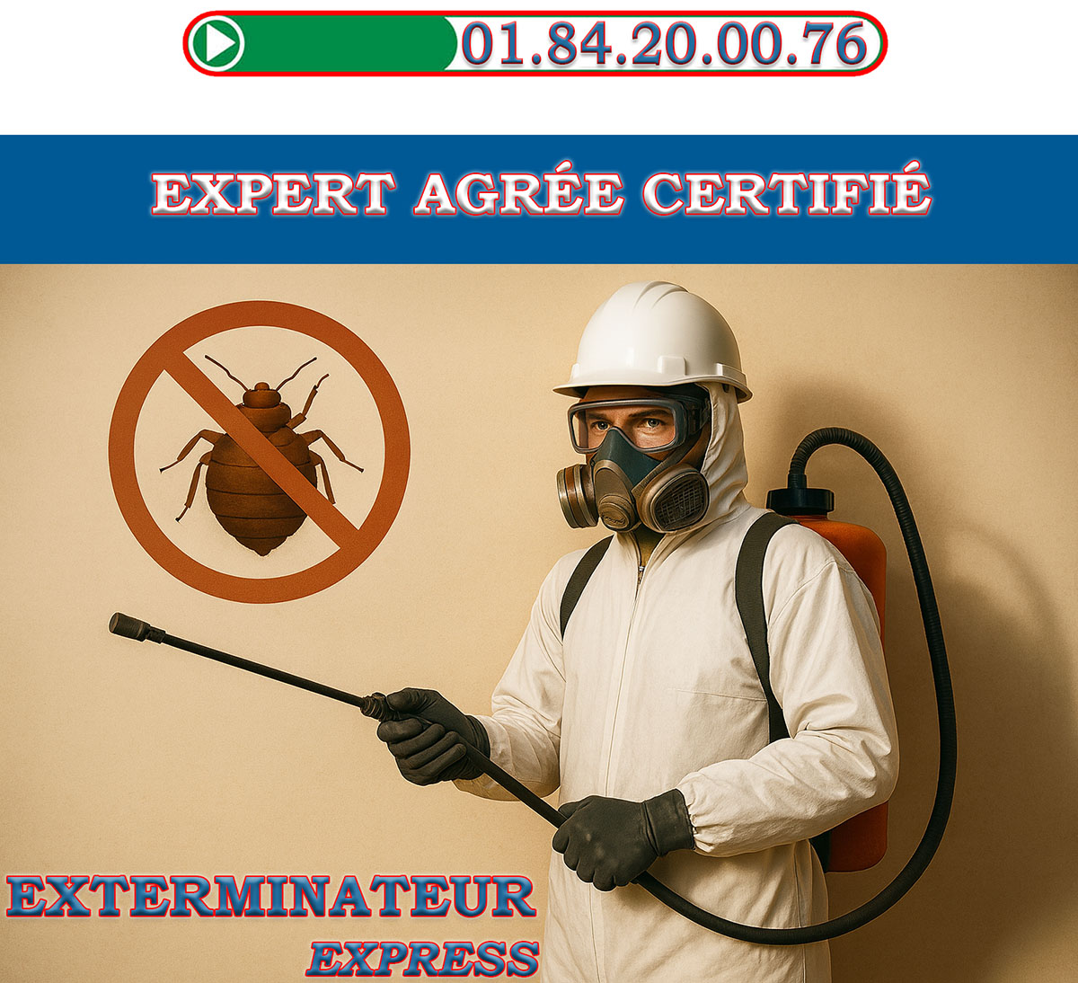 Punaises de Lit Chatillon